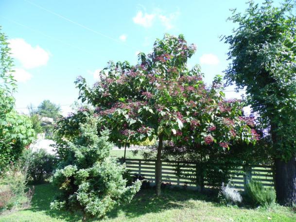 Name:  134.jpg
Views: 857
Size:  71.9 KB