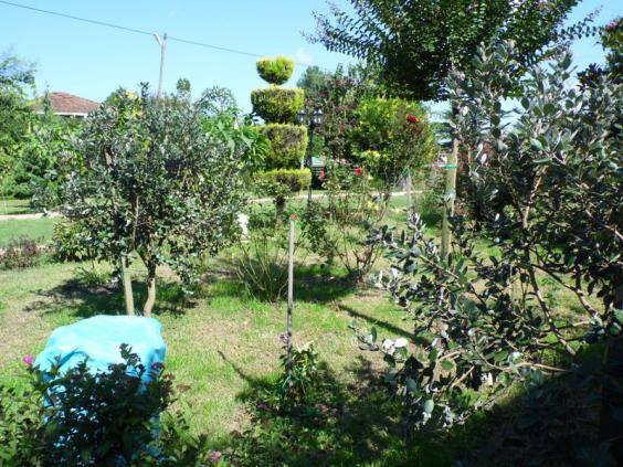Name:  162.jpg
Views: 789
Size:  72.6 KB