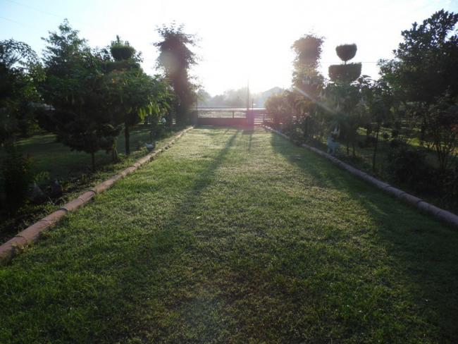 Name:  113.jpg
Views: 789
Size:  52.2 KB