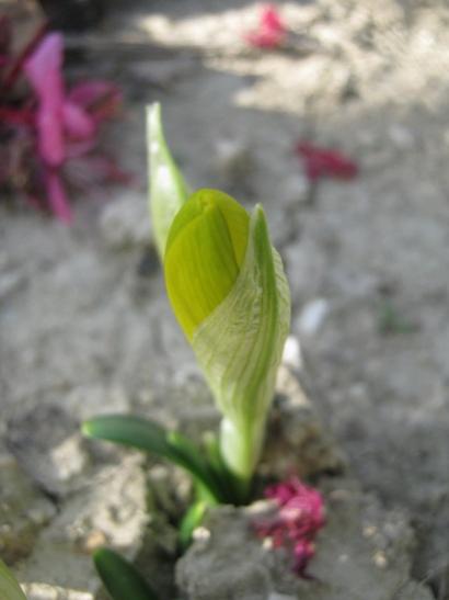 Name:  gz idemi.jpg
Views: 876
Size:  21.6 KB