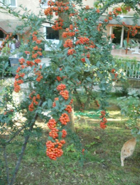Name:  12k.jpg
Views: 397
Size:  61.2 KB