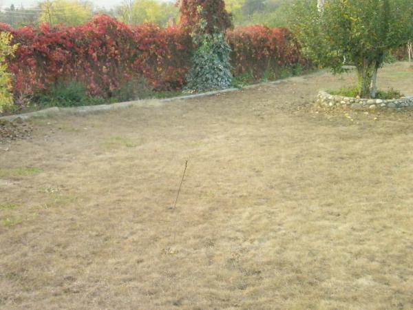 Name:  PB061277.jpg
Views: 1000
Size:  45.0 KB