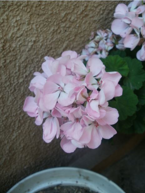 Name:  15b.JPG
Views: 285
Size:  45.6 KB