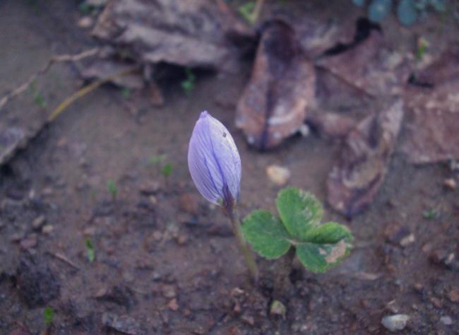 Name:  yeni2.jpg
Views: 937
Size:  31.0 KB