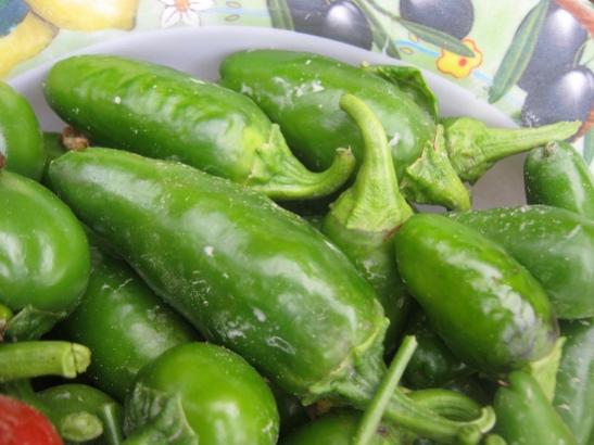 Name:  jalapeno1.jpg
Views: 1333
Size:  34.4 KB