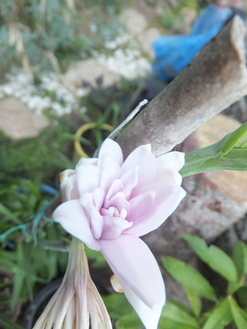 Name:  DSCF4999.jpg
Views: 348
Size:  47.9 KB