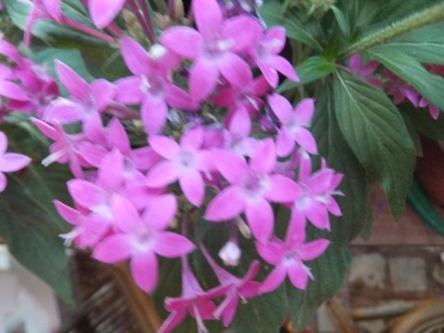 Name:  DSCF5103.jpg
Views: 334
Size:  38.9 KB