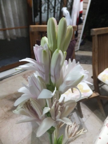 Name:  DSCF5251.jpg
Views: 499
Size:  49.2 KB