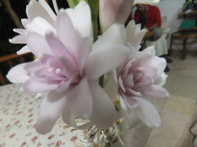 Name:  DSCF5254.jpg
Views: 480
Size:  61.0 KB
