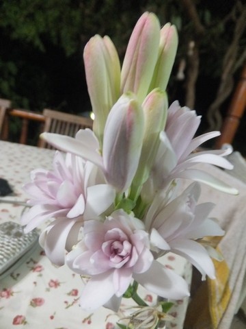 Name:  DSCF5249.jpg
Views: 486
Size:  49.8 KB