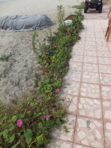 Name:  DSCF5259.jpg
Views: 462
Size:  32.9 KB