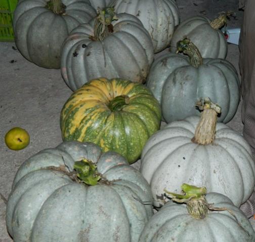 Name:  Resim 704.jpg
Views: 1758
Size:  37.9 KB
