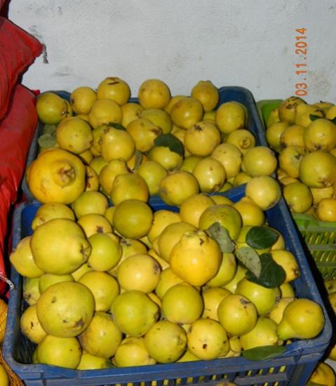Name:  Resim 701.jpg
Views: 1755
Size:  41.6 KB