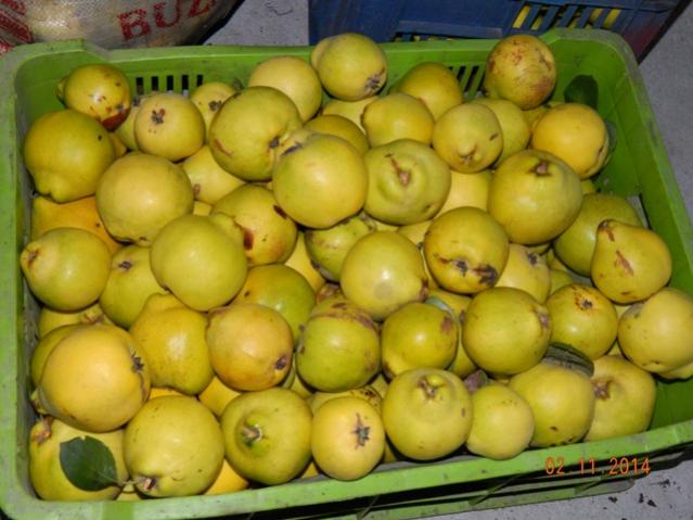 Name:  Resim 705.jpg
Views: 1768
Size:  45.7 KB