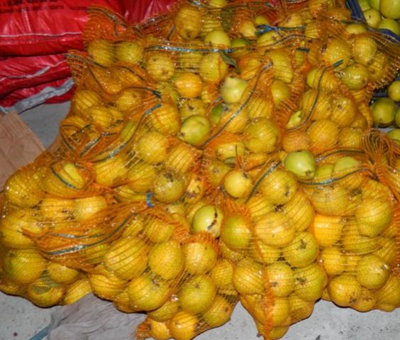 Name:  Resim 710.jpg
Views: 1769
Size:  54.4 KB