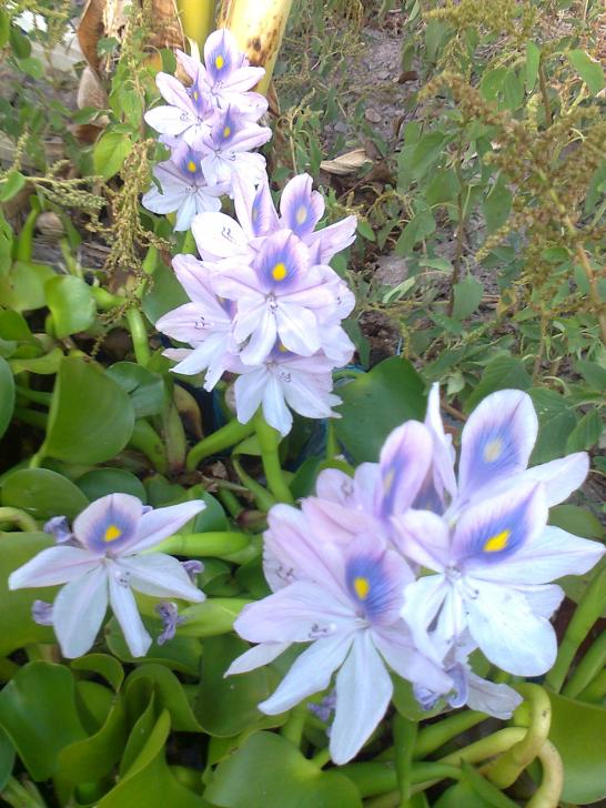 Name:  Fotoraf1667.jpg
Views: 296
Size:  75.4 KB