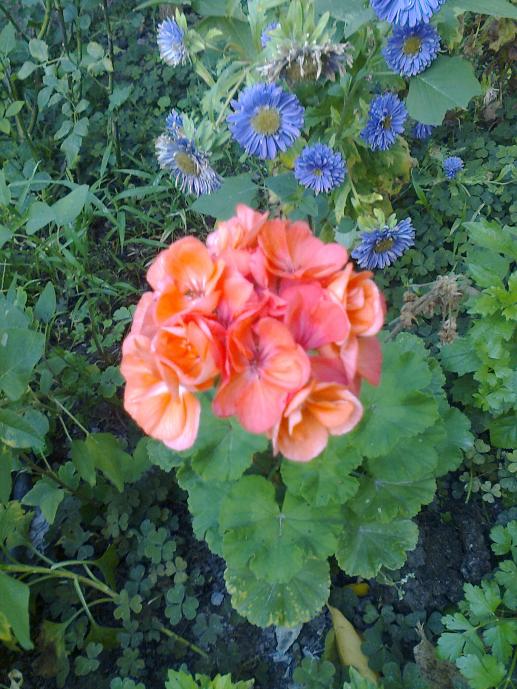 Name:  Fotoraf1683.jpg
Views: 467
Size:  75.8 KB
