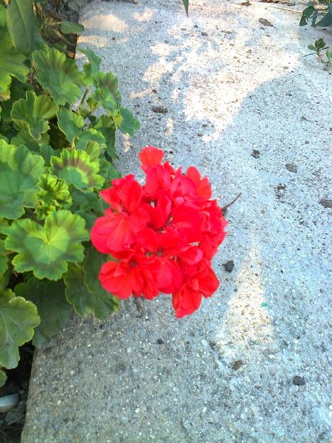 Name:  Fotoraf1685.jpg
Views: 476
Size:  75.6 KB