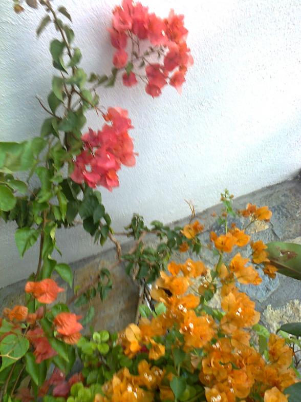 Name:  Fotoraf1720.jpg
Views: 387
Size:  72.3 KB