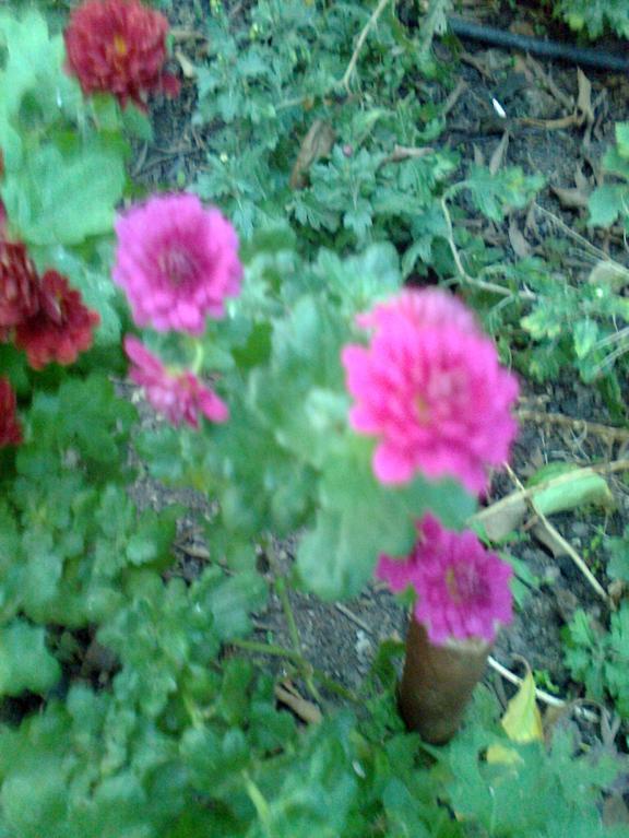 Name:  Fotoraf1705.jpg
Views: 372
Size:  71.5 KB