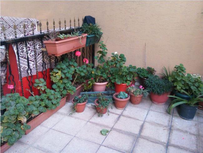 Name:  Ekran Alnts2.jpg
Views: 314
Size:  53.9 KB
