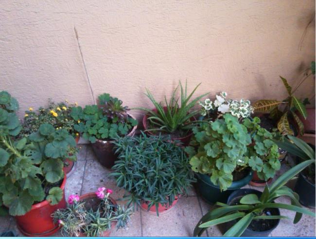 Name:  Ekran Alnts3.jpg
Views: 321
Size:  52.8 KB