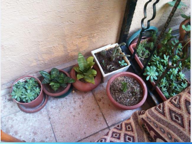 Name:  Ekran Alnts4.jpg
Views: 299
Size:  60.3 KB