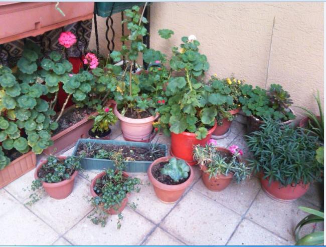 Name:  Ekran Alnts5.jpg
Views: 330
Size:  62.1 KB