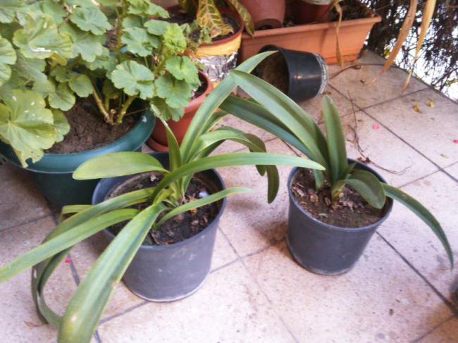 Name:  Ekran Alnts10.jpg
Views: 313
Size:  55.1 KB