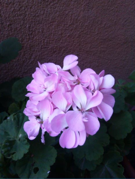 Name:  Ekran Alnts11.JPG
Views: 546
Size:  45.1 KB