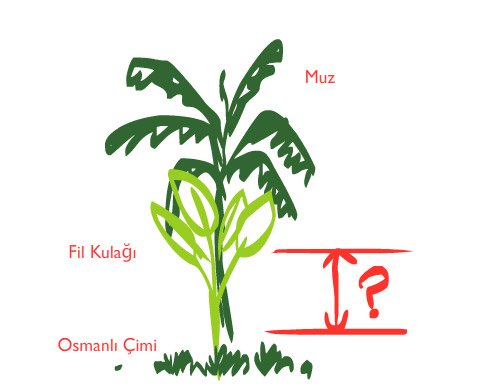 Name:  muz.jpg
Views: 1178
Size:  35.6 KB