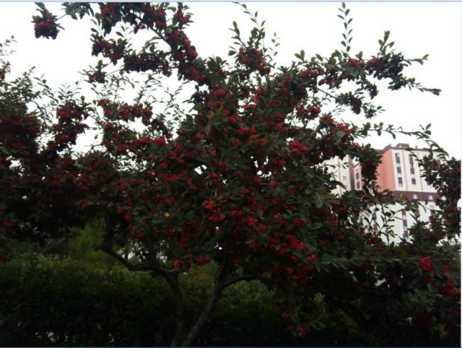 Name:  Ekran Alnts1.jpg
Views: 517
Size:  62.8 KB
