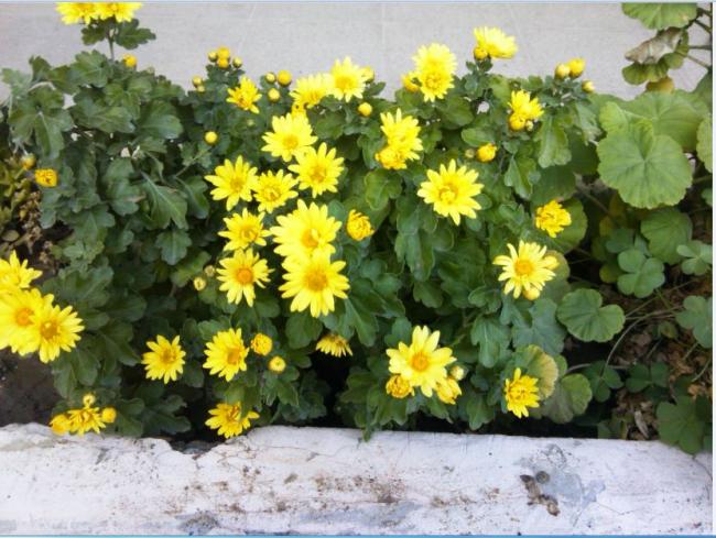 Name:  Ekran Alnts6.jpg
Views: 287
Size:  62.3 KB