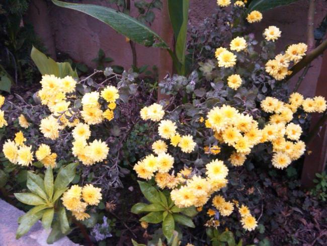 Name:  Ekran Alnts7.jpg
Views: 263
Size:  66.3 KB
