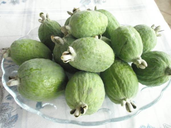 Name:  PB121304.jpg
Views: 1056
Size:  36.3 KB
