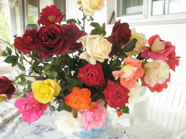 Name:  PB121293.jpg
Views: 1156
Size:  46.4 KB