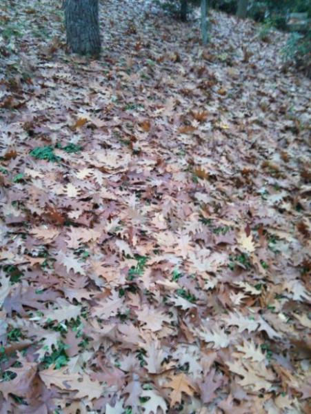 Name:  Ekran Alnts1.jpg
Views: 877
Size:  64.1 KB