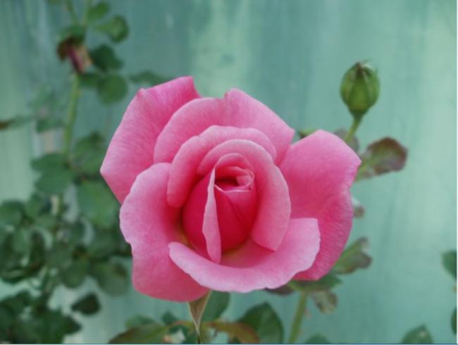 Name:  Ekran Alnts9.jpg
Views: 571
Size:  26.6 KB