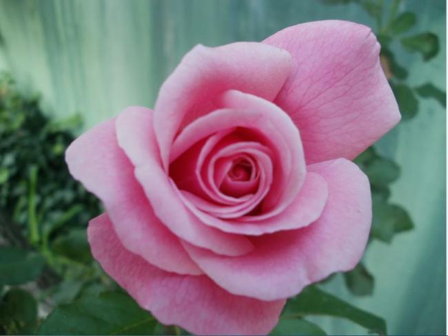 Name:  Ekran Alnts11.jpg
Views: 621
Size:  29.2 KB
