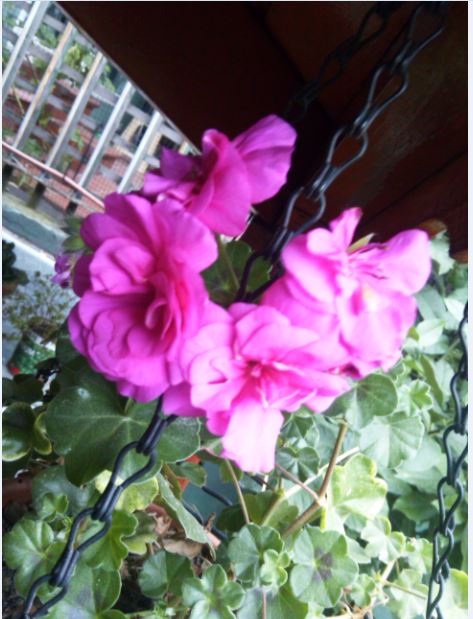 Name:  Ekran Alnts13.JPG
Views: 846
Size:  62.4 KB