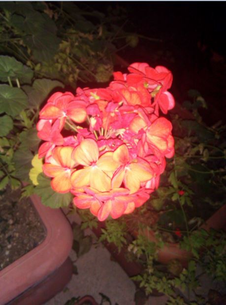 Name:  Ekran Alnts14.JPG
Views: 833
Size:  46.5 KB