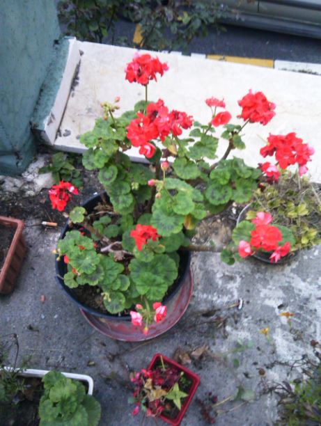 Name:  Ekran Alnts15.JPG
Views: 878
Size:  65.4 KB