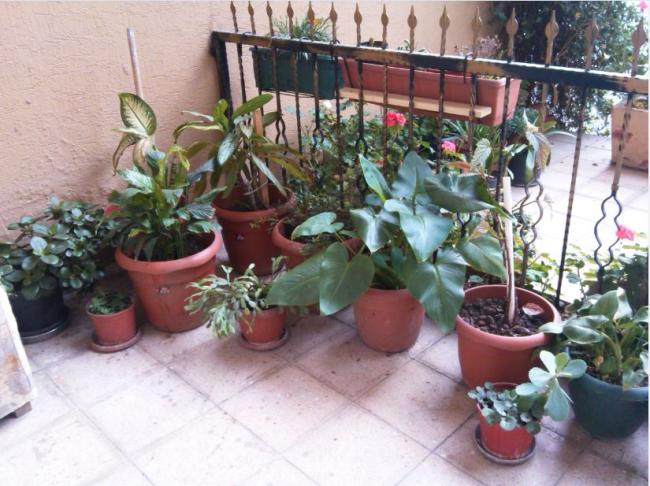 Name:  Ekran Alnts4.jpg
Views: 779
Size:  59.4 KB