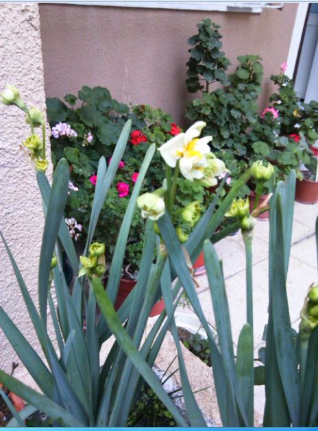 Name:  Ekran Alnts9.JPG
Views: 700
Size:  68.5 KB