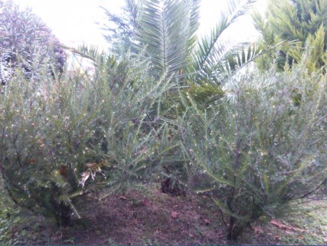 Name:  Ekran Alnts1.jpg
Views: 433
Size:  63.8 KB