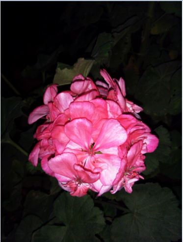 Name:  Ekran Alntsb.JPG
Views: 457
Size:  32.4 KB