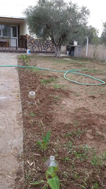 Name:  2014-11-09 15.52.21.jpg
Views: 816
Size:  64.0 KB