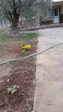 Name:  2014-11-09 15.51.55.jpg
Views: 950
Size:  62.4 KB