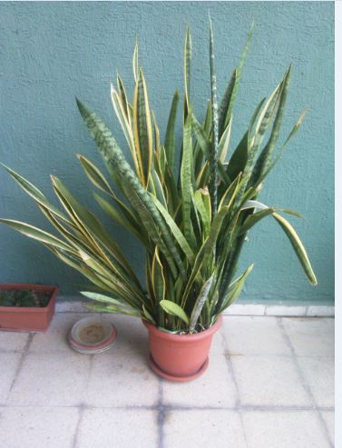 Name:  Ekran Alnts5.JPG
Views: 847
Size:  41.5 KB