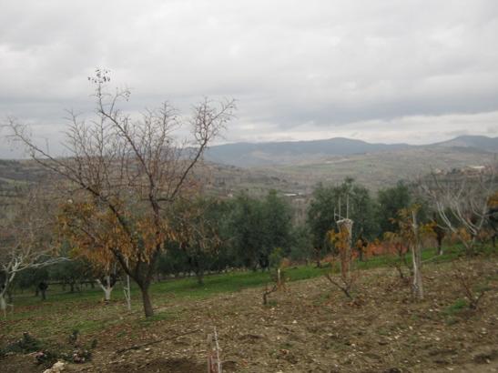 Name:  bahe1.jpg
Views: 1067
Size:  31.9 KB